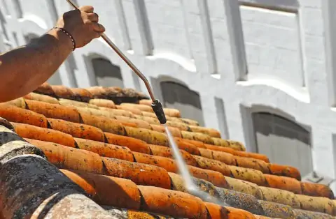 Nettoyage de toitures - Léry